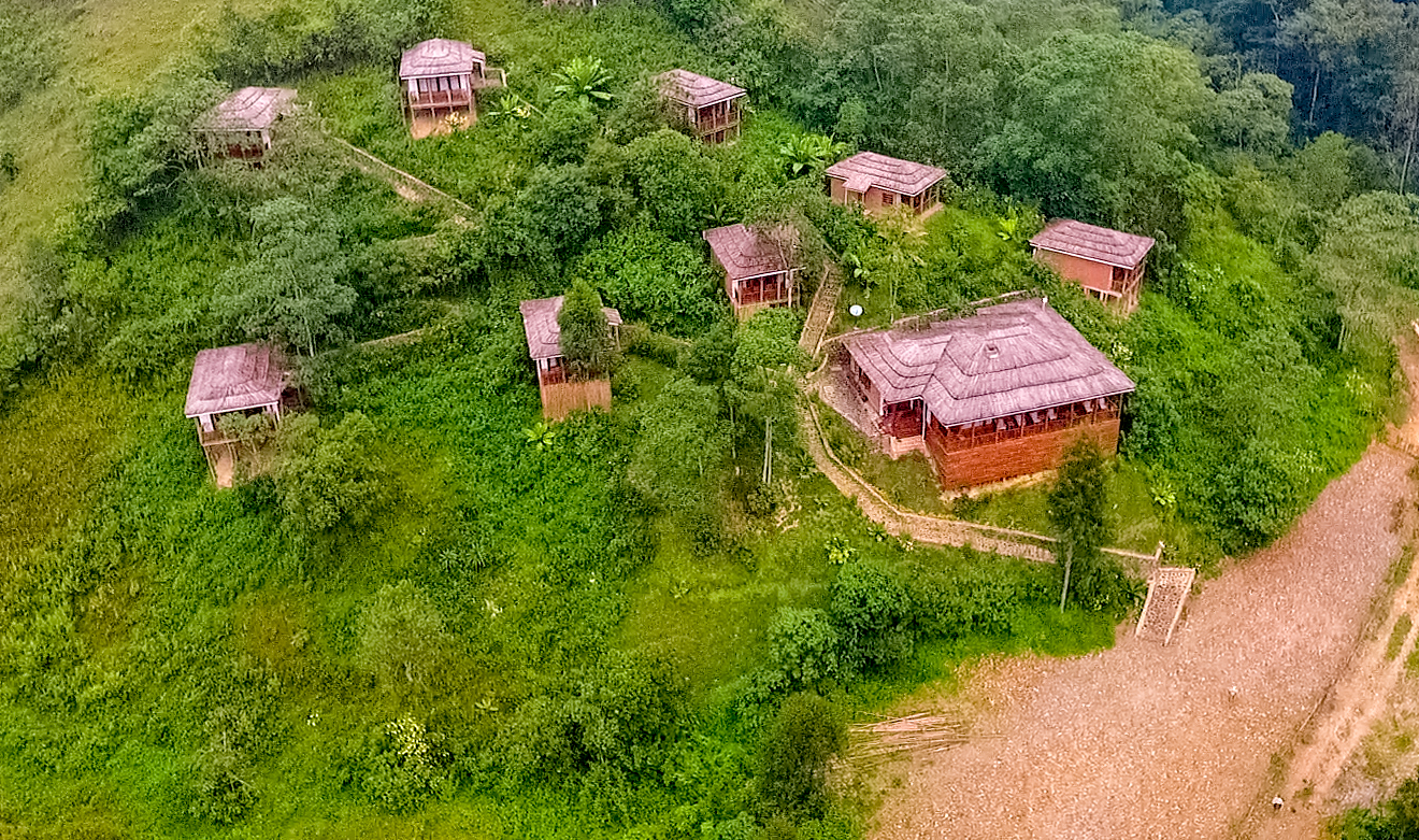 bwindi lodge