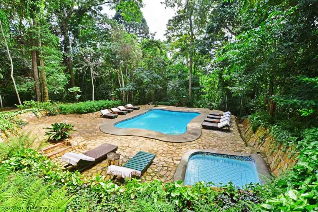 mabira forest lodge