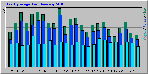 Hourly usage for January 2016