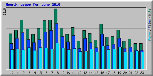 Hourly usage for June 2016