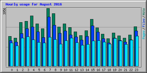 Hourly usage for August 2016